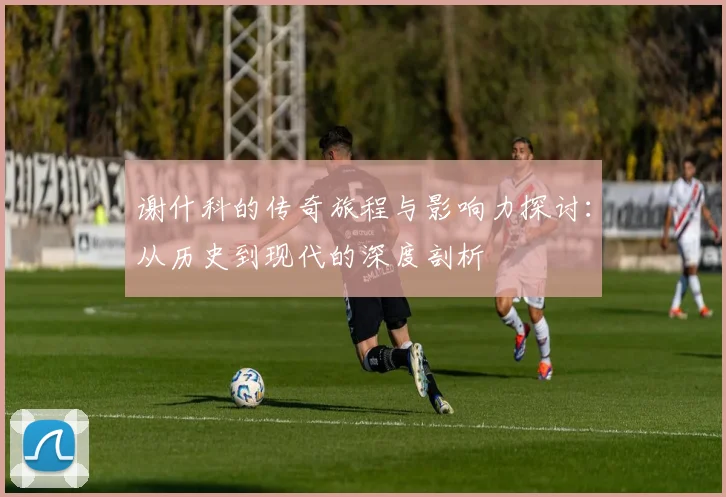 谢什科的传奇旅程与影响力探讨：从历史到现代的深度剖析