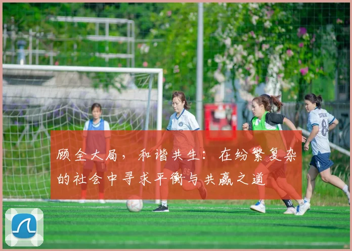 顾全大局，和谐共生：在纷繁复杂的社会中寻求平衡与共赢之道