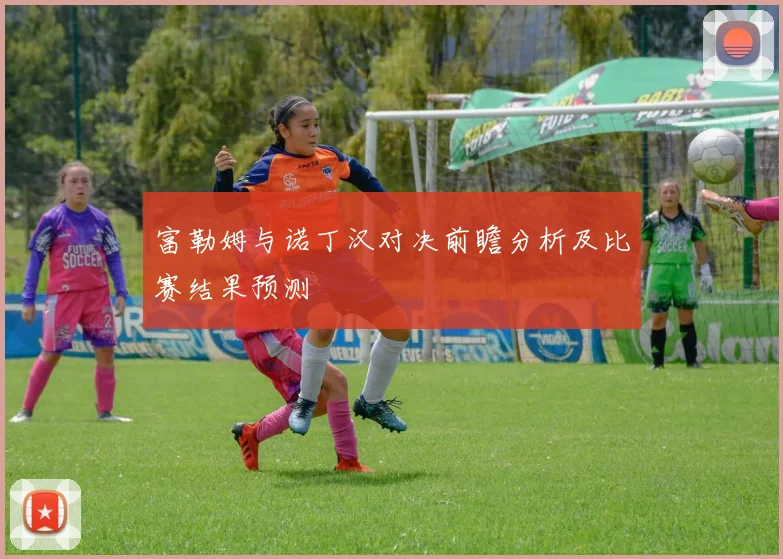 富勒姆与诺丁汉对决前瞻分析及比赛结果预测