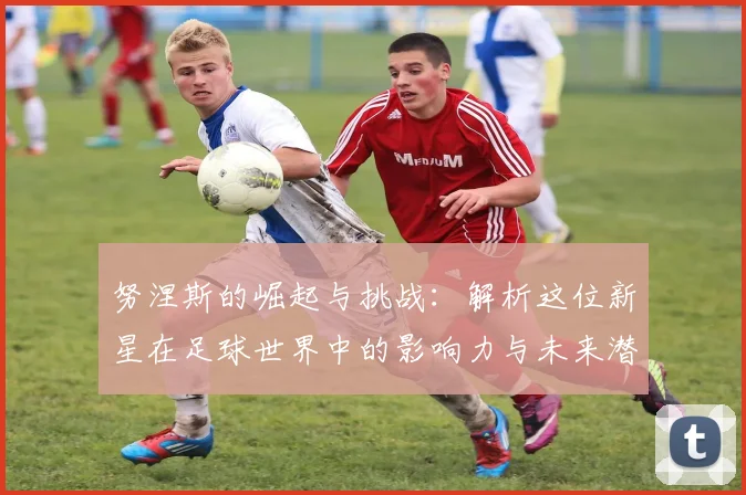 努涅斯的崛起与挑战：解析这位新星在足球世界中的影响力与未来潜力